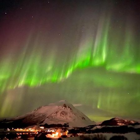 Lofoten SeaZens Panorama Leknes Exterior foto