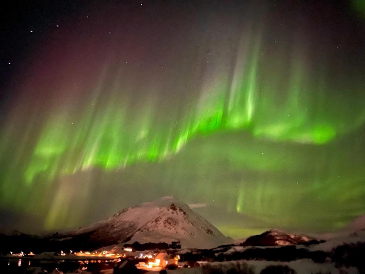 Lofoten SeaZens Panorama Leknes Exterior foto