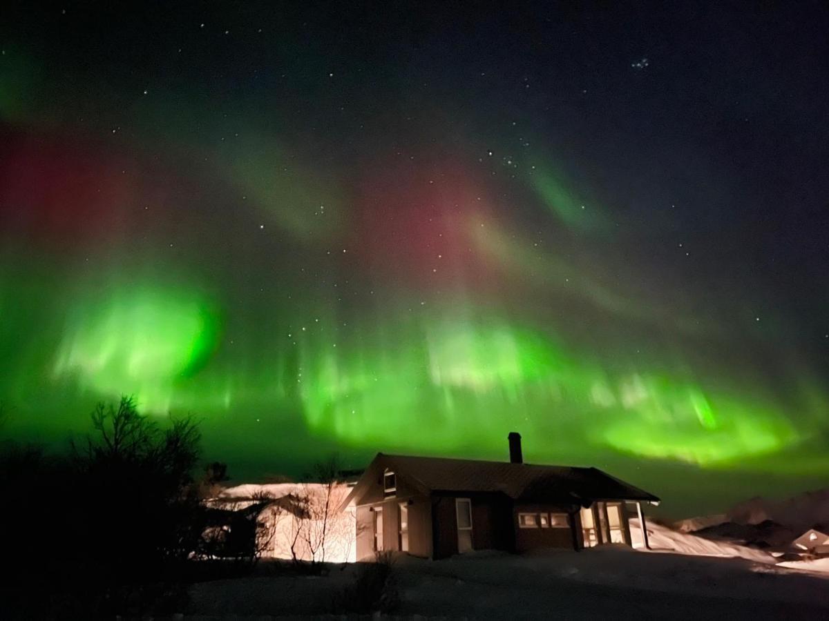 Lofoten SeaZens Panorama Leknes Exterior foto